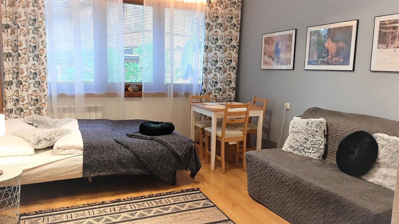 Studio Mila I Nido W Centrum Apartzakop Zakopane Eksteriør bilde